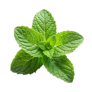 Cheese wedge